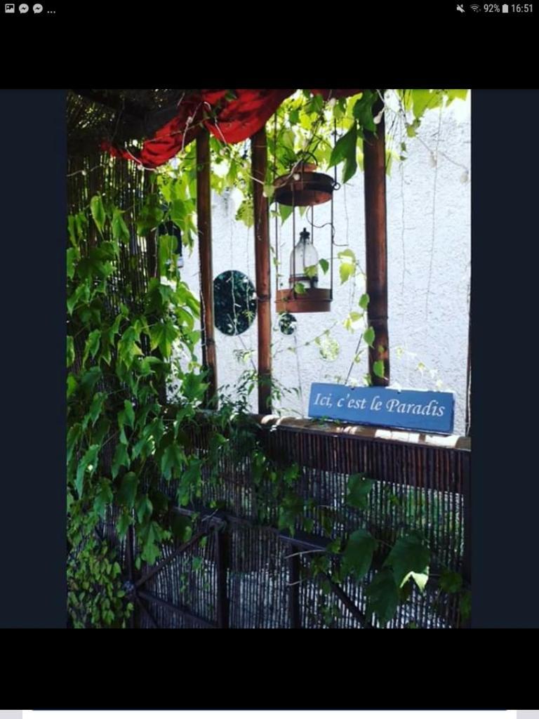 Le Mazet Des Beaujots Hotel Monteux Exterior foto
